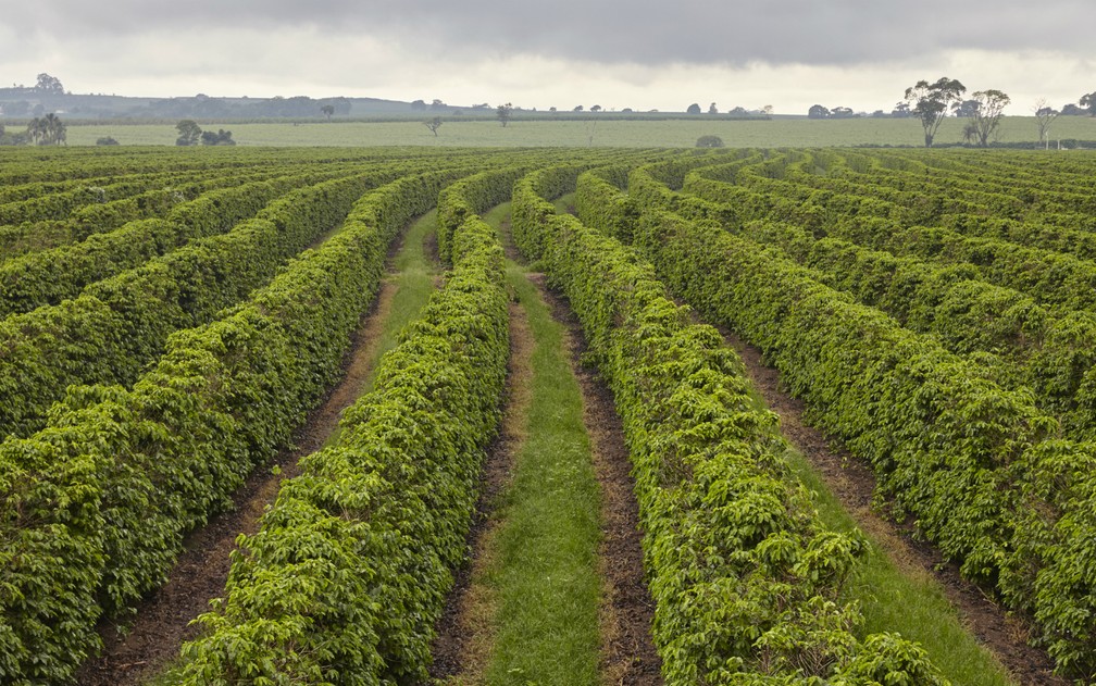 como declarar o imposto territorial rural 2019