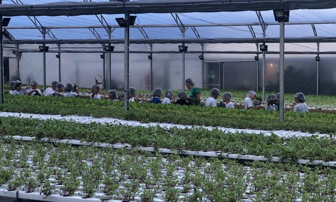 fazenda urbana invade rio de janeiro