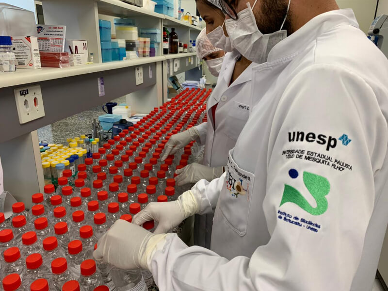 unesp produz antisséptico para distribuir à população de graça