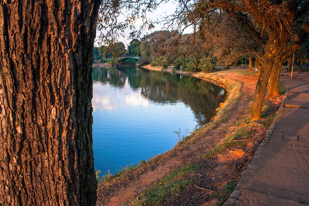 prefeitura de sp libera parques só durante a semana