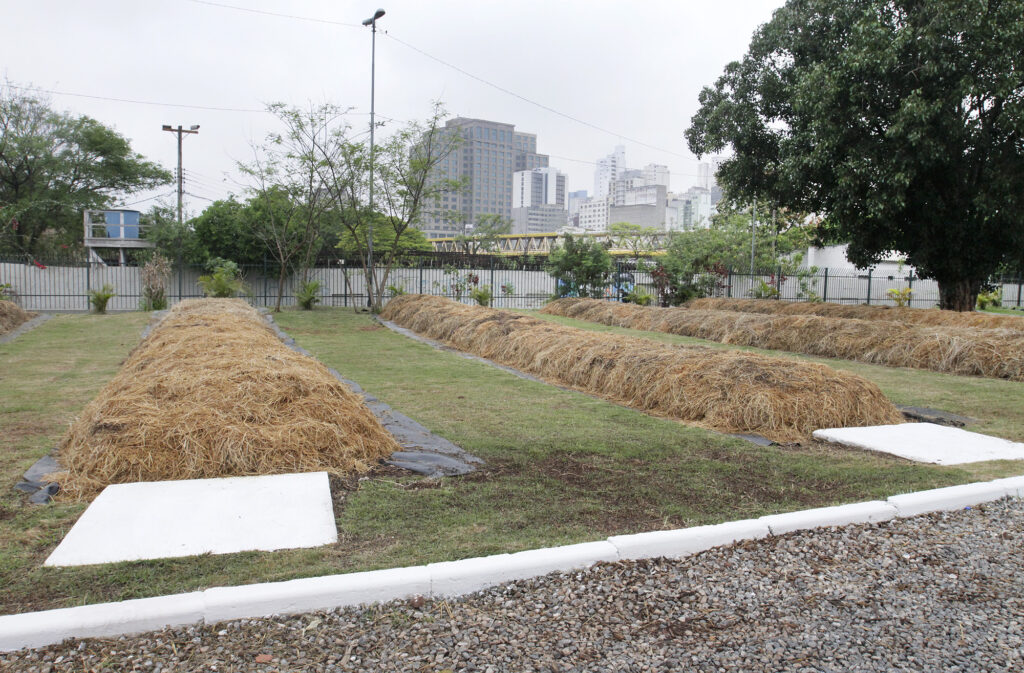 compostagem-de-resíduos-orgânicos-em-sp- pl-aprova-medida